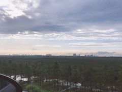 -南汇嘴观海公园