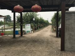 -同銮特种养殖场·龙虾垂钓