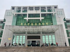 -广东中医药博物馆