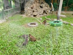 -西安秦岭野生动物园