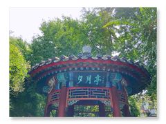 -月坛公园