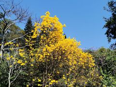 -广州市白云山风景名胜区