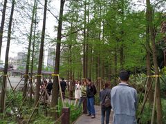 -重庆彩云湖湿地公园