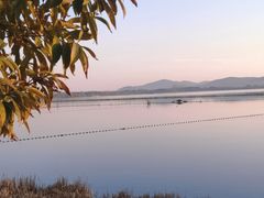 -渤公岛生态公园
