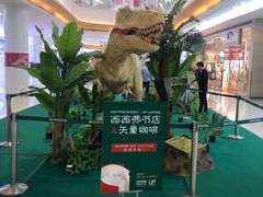 -深圳龙华星河COCO City(民治店)