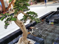 -天沐温泉(抚顺店)