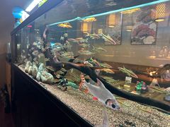 -阿泽料理