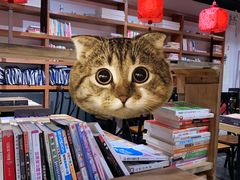 -和府捞面(东直门银座店)