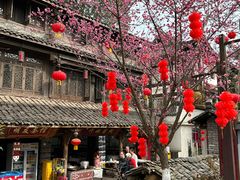 -黄龙溪古镇