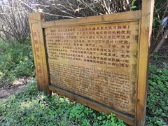 -三块石国家森林公园
