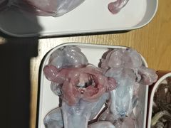 -铭记蛙小仙·活蛙畅享(CBD万达广场店)