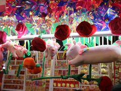 -越秀西湖花市(广州城市广场花卉店)