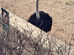 -沈阳森林动物园