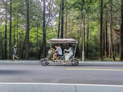 -日照海滨国家森林公园