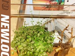-北京盈之宝宝马4S店(望京店)