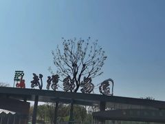 -武汉动物园