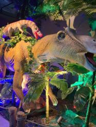 -恐龙探索乐园(磁器口店)