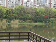 -新江湾城公园