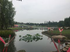 -秀丽东方