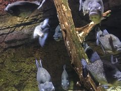 -河川生态园