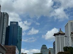 -新加坡乌节希尔顿酒店 (SG Clean)