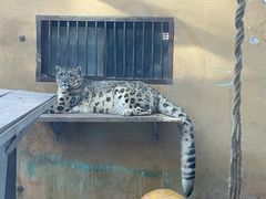 -青藏高原野生动物园