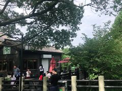 -白马涧龙池景区