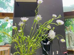 -NLFS1983咖啡花园餐厅(锦桂店)