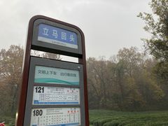 -灵隐飞来峰景区
