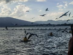 -海埂大坝