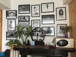 点击看大图 -龙蝉瑜伽