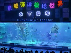 -泉城欧乐堡海洋极地世界