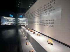 -荆州博物馆