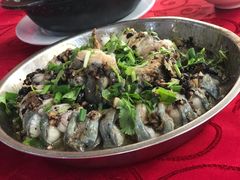 -香江农家乐饭店