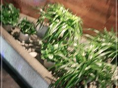 -猫抓烤肉(观音桥九街店)