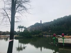 -南沙蒲洲花园