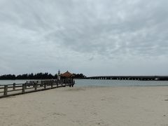 -东郊椰林