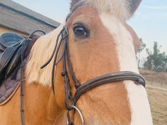 -百翠山居.家飨餐厅