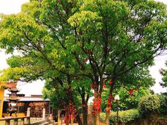 景点-雨花胜境