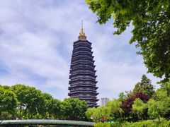 -红梅公园