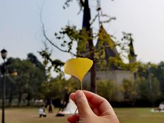 -成都南湖公园
