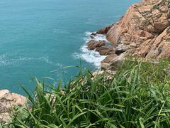 -广东惠东海龟国家级自然保护区