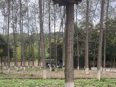 -佛手湖郊野公园
