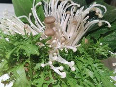 菌菇拼盘-汤城·料青山