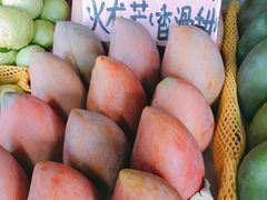 -大湾区中央湿地公园-十九涌