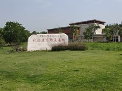 -南湖湿地公园