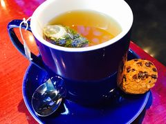 -bluefrog蓝蛙(水游城店)