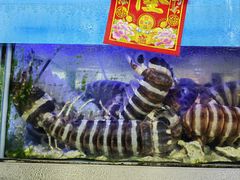 -富来美食(成发大厦店)