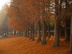 -阳澄湖半岛旅游度假区