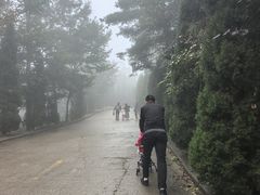 -沂蒙山旅游区云蒙景区(蒙山国家森林公园)